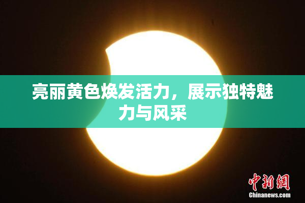 亮丽黄色焕发活力，展示独特魅力与风采