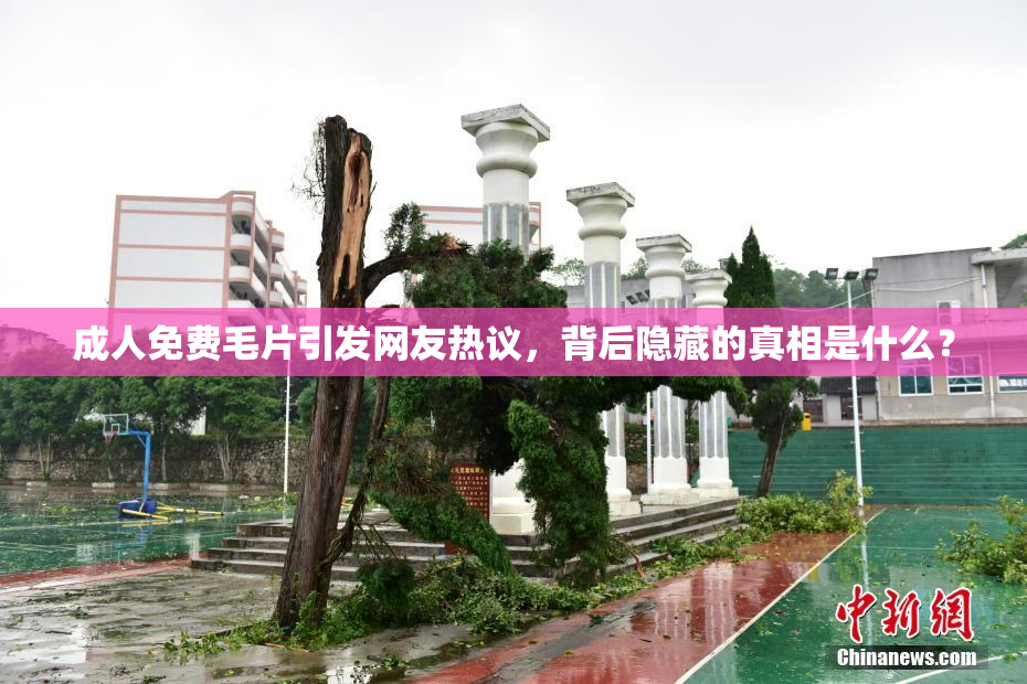 成人免费毛片引发网友热议，背后隐藏的真相是什么？