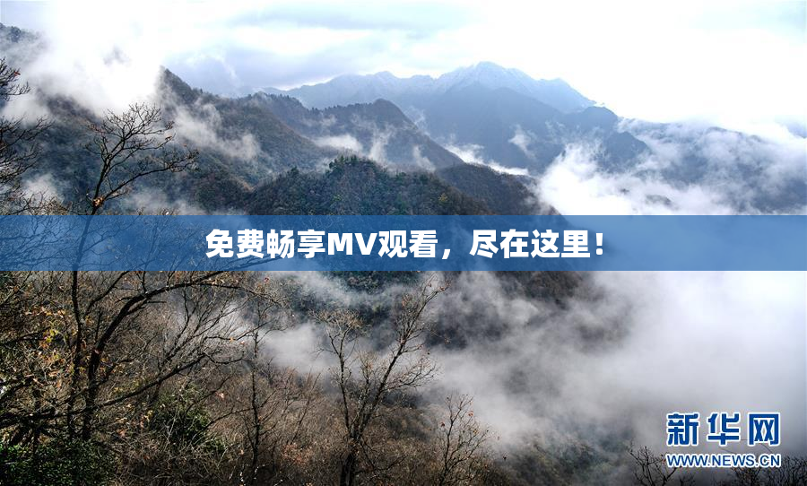 免费畅享MV观看，尽在这里！