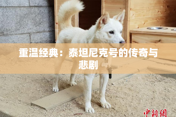 重温经典：泰坦尼克号的传奇与悲剧