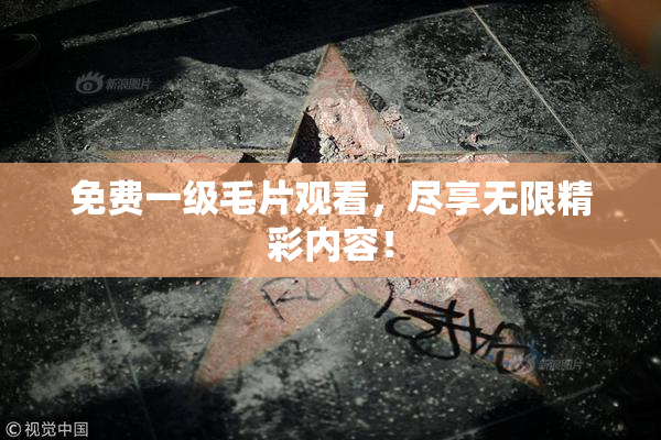 免费一级毛片观看，尽享无限精彩内容！