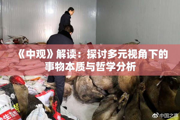 《中观》解读：探讨多元视角下的事物本质与哲学分析