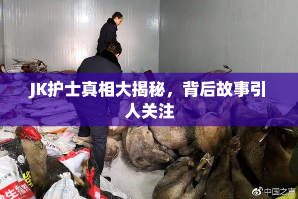 JK护士真相大揭秘，背后故事引人关注