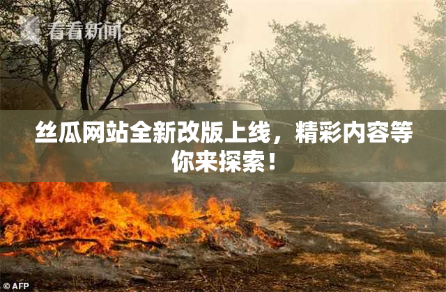 丝瓜网站全新改版上线，精彩内容等你来探索！