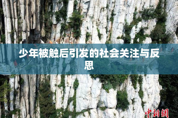 少年被触后引发的社会关注与反思