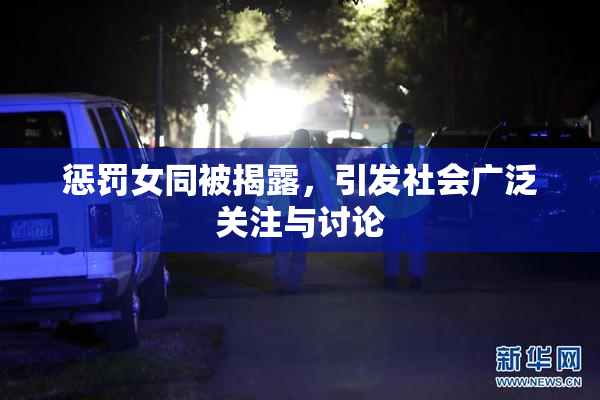 惩罚女同被揭露，引发社会广泛关注与讨论