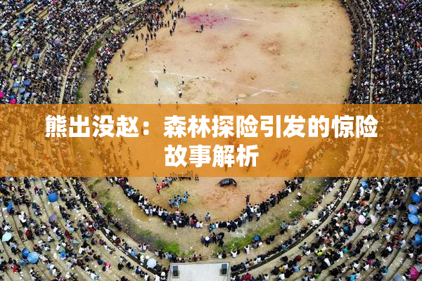 熊出没赵：森林探险引发的惊险故事解析