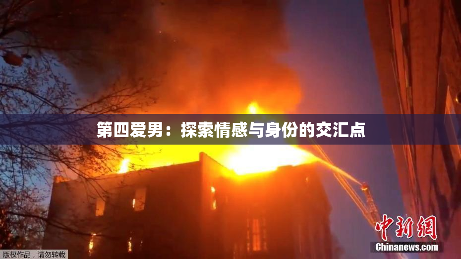 第四爱男：探索情感与身份的交汇点