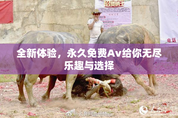 全新体验，永久免费Av给你无尽乐趣与选择