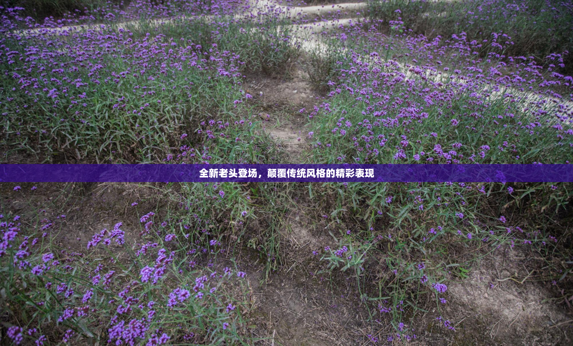 全新老头登场，颠覆传统风格的精彩表现