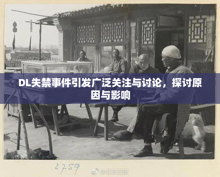 DL失禁事件引发广泛关注与讨论，探讨原因与影响