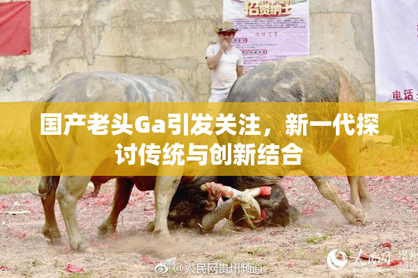 国产老头Ga引发关注，新一代探讨传统与创新结合