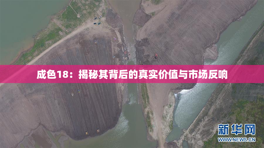 成色18：揭秘其背后的真实价值与市场反响