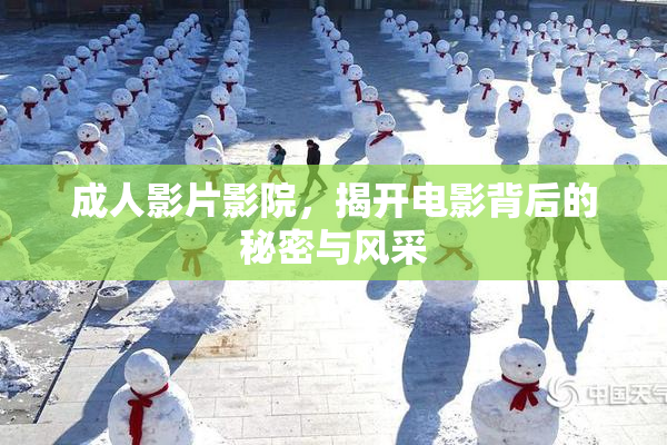 成人影片影院，揭开电影背后的秘密与风采