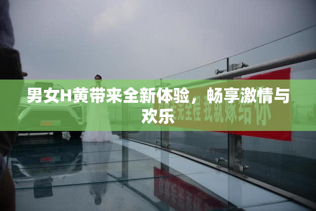 男女H黄带来全新体验，畅享激情与欢乐
