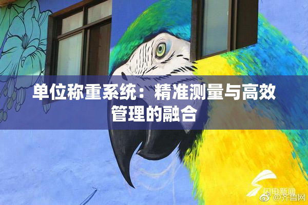 单位称重系统：精准测量与高效管理的融合
