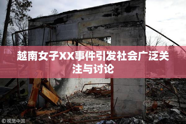 越南女子XX事件引发社会广泛关注与讨论