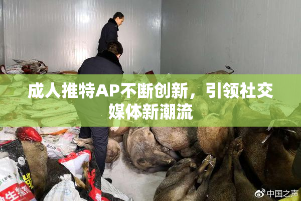 成人推特AP不断创新，引领社交媒体新潮流