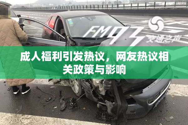成人福利引发热议，网友热议相关政策与影响