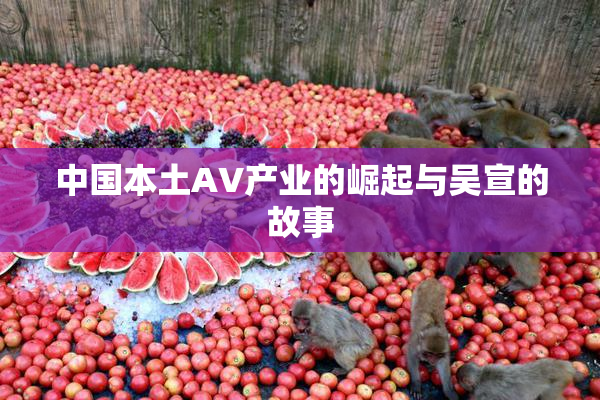 中国本土AV产业的崛起与吴宣的故事