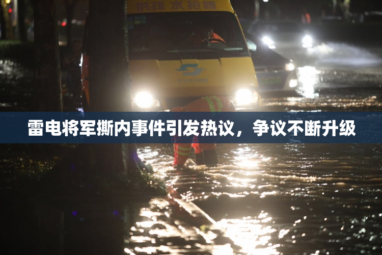 雷电将军撕内事件引发热议，争议不断升级