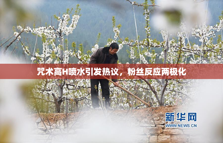 咒术高H喷水引发热议，粉丝反应两极化