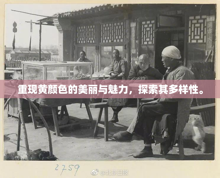 重现黄颜色的美丽与魅力，探索其多样性。