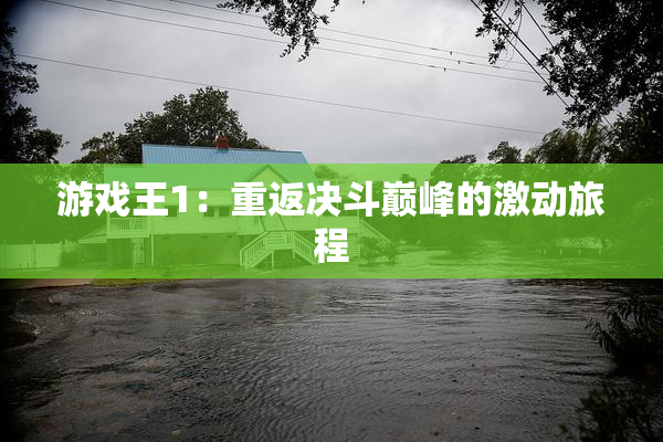 游戏王1：重返决斗巅峰的激动旅程