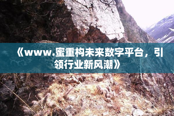 《www.蜜重构未来数字平台，引领行业新风潮》