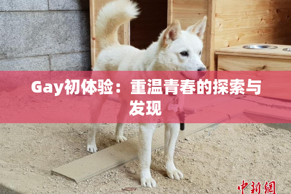 Gay初体验：重温青春的探索与发现