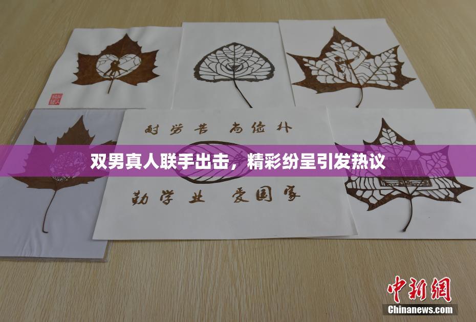 双男真人联手出击，精彩纷呈引发热议