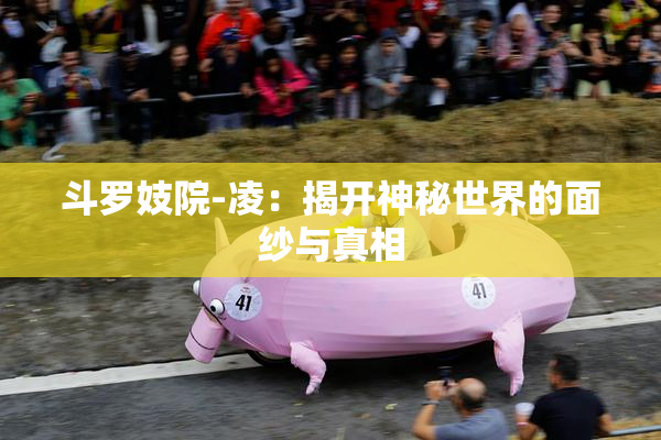 斗罗妓院-凌：揭开神秘世界的面纱与真相