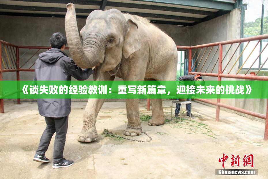 《谈失败的经验教训：重写新篇章，迎接未来的挑战》