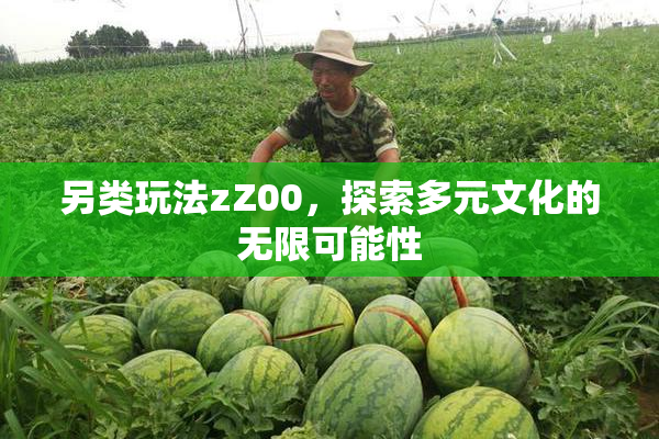 另类玩法zZ00，探索多元文化的无限可能性