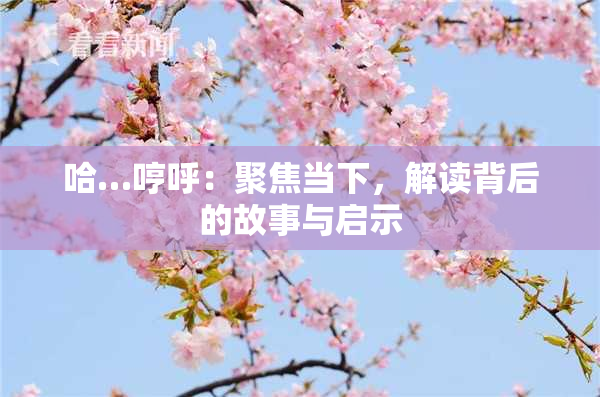 哈…哼呼：聚焦当下，解读背后的故事与启示