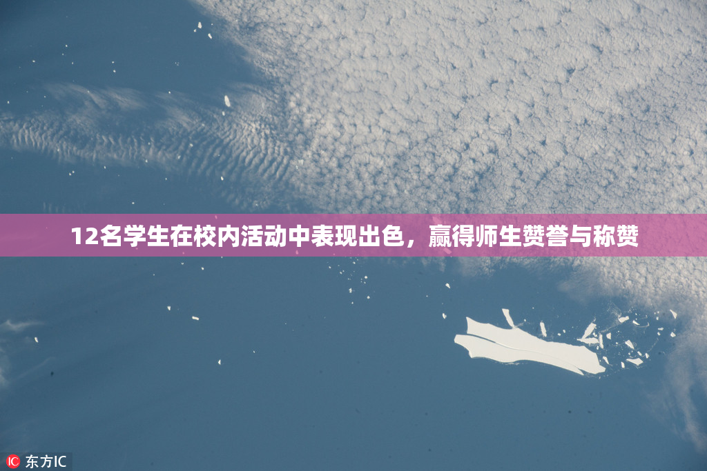 12名学生在校内活动中表现出色，赢得师生赞誉与称赞
