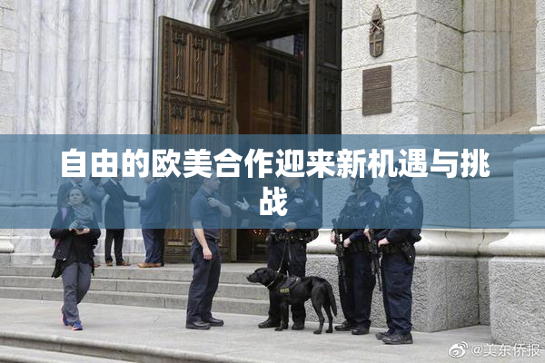 自由的欧美合作迎来新机遇与挑战