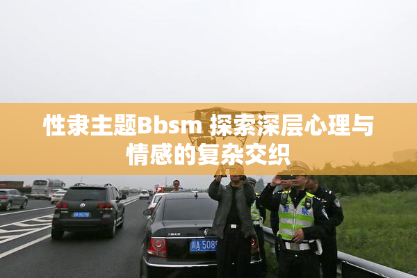 性隶主题Bbsm 探索深层心理与情感的复杂交织