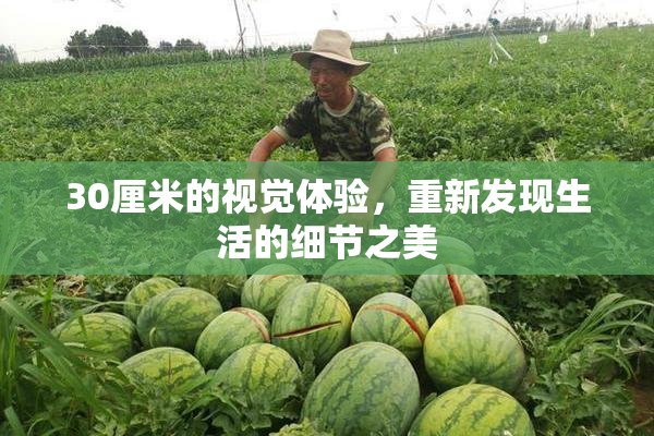 30厘米的视觉体验，重新发现生活的细节之美