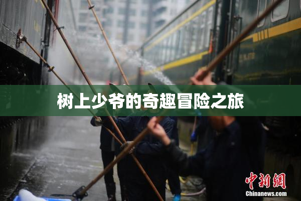 树上少爷的奇趣冒险之旅