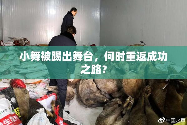 小舞被踢出舞台，何时重返成功之路？