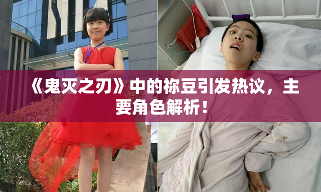 《鬼灭之刃》中的祢豆引发热议，主要角色解析！
