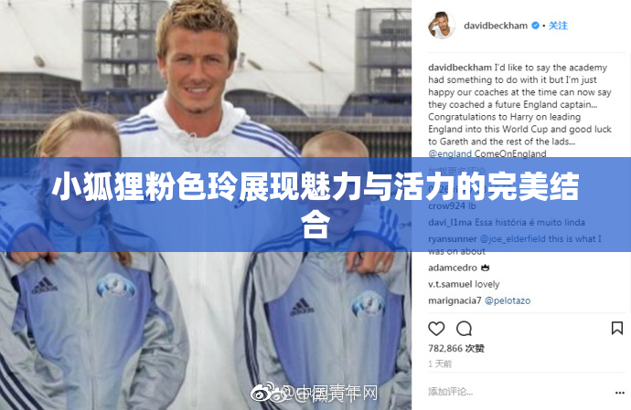 小狐狸粉色玲展现魅力与活力的完美结合