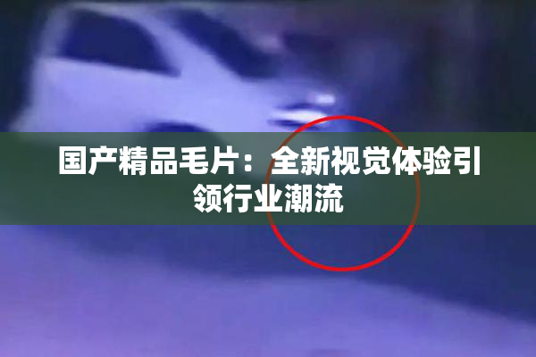 国产精品毛片：全新视觉体验引领行业潮流