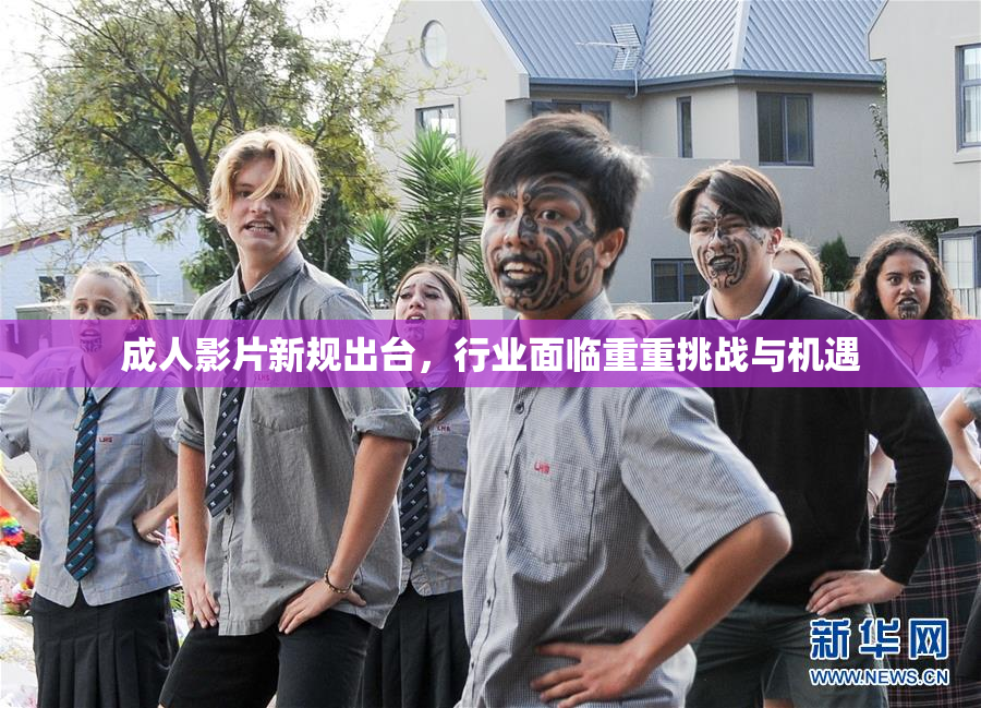 成人影片新规出台，行业面临重重挑战与机遇