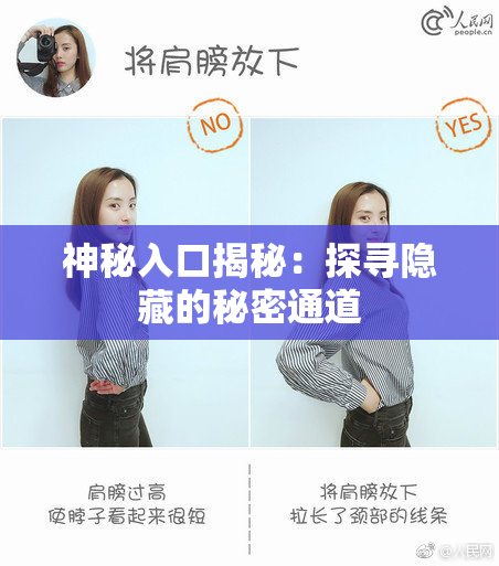 神秘入口揭秘：探寻隐藏的秘密通道