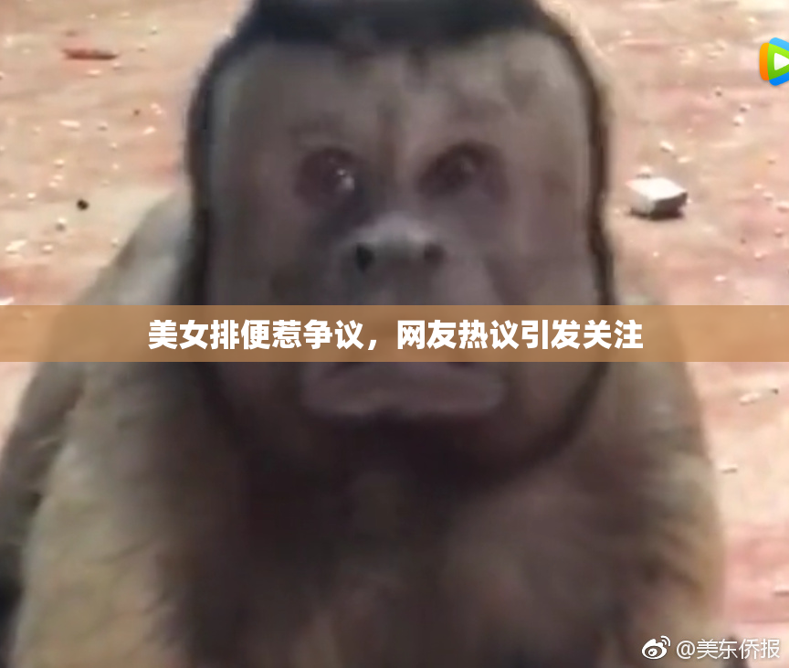 美女排便惹争议，网友热议引发关注