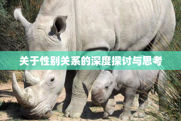 关于性别关系的深度探讨与思考