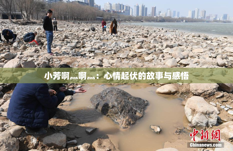 小芳啊灬啊灬：心情起伏的故事与感悟