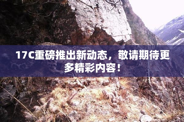 17C重磅推出新动态，敬请期待更多精彩内容！